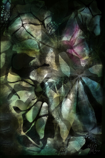 Questioning the Shadows: Under the River I - a Digital Art Artowrk by YLECARA